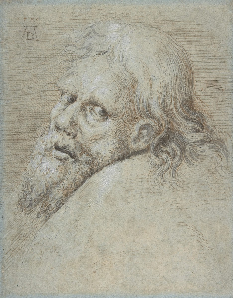 Head of a Bearded Man 1579