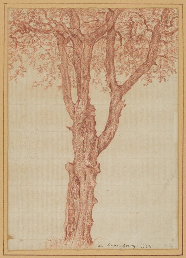 Study of a Tree in the Luxembourg Gardens 1773