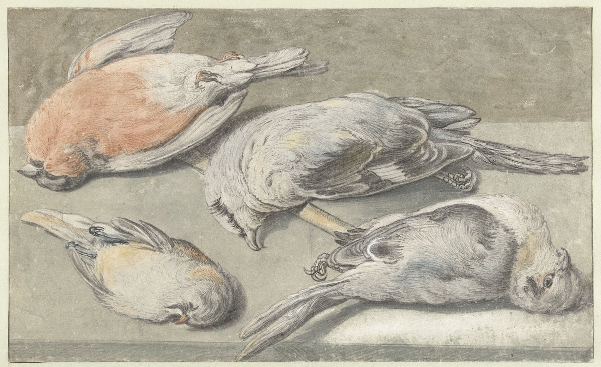 Still Life with Four Dead Birds c 1640 c 1652