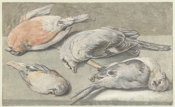 Still Life with Four Dead Birds c 1640 c 1652