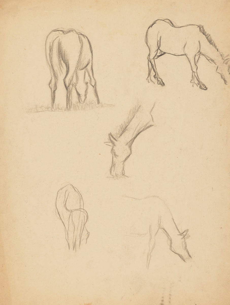 Études danimaux de paysages et de modèles