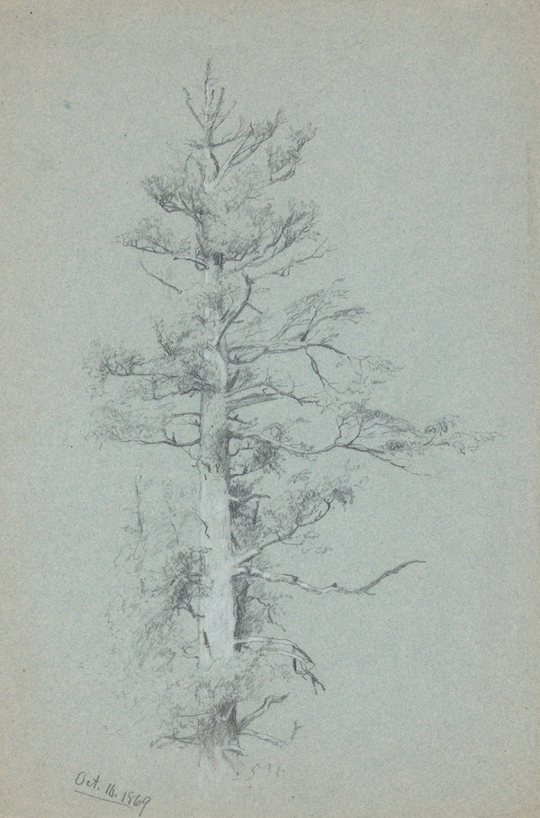 TreeStudy 1869