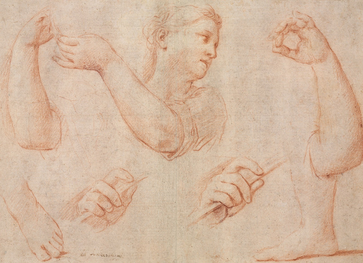 Study of a Young Woman Playing a Tambourine and Studies of an Arm Hands and Feet