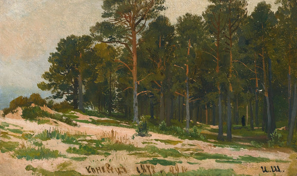 Pine Forest 1872