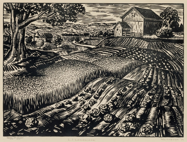 LI Landscape