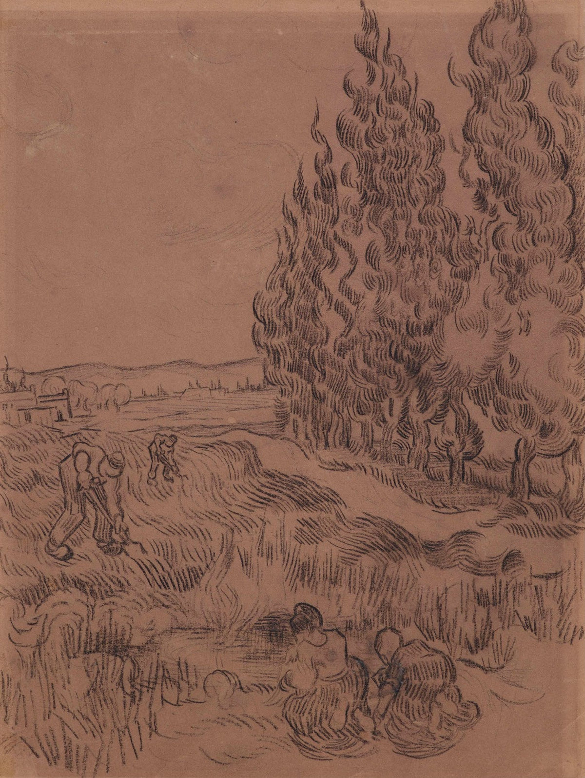 Cypresses with four people working in the field 1889