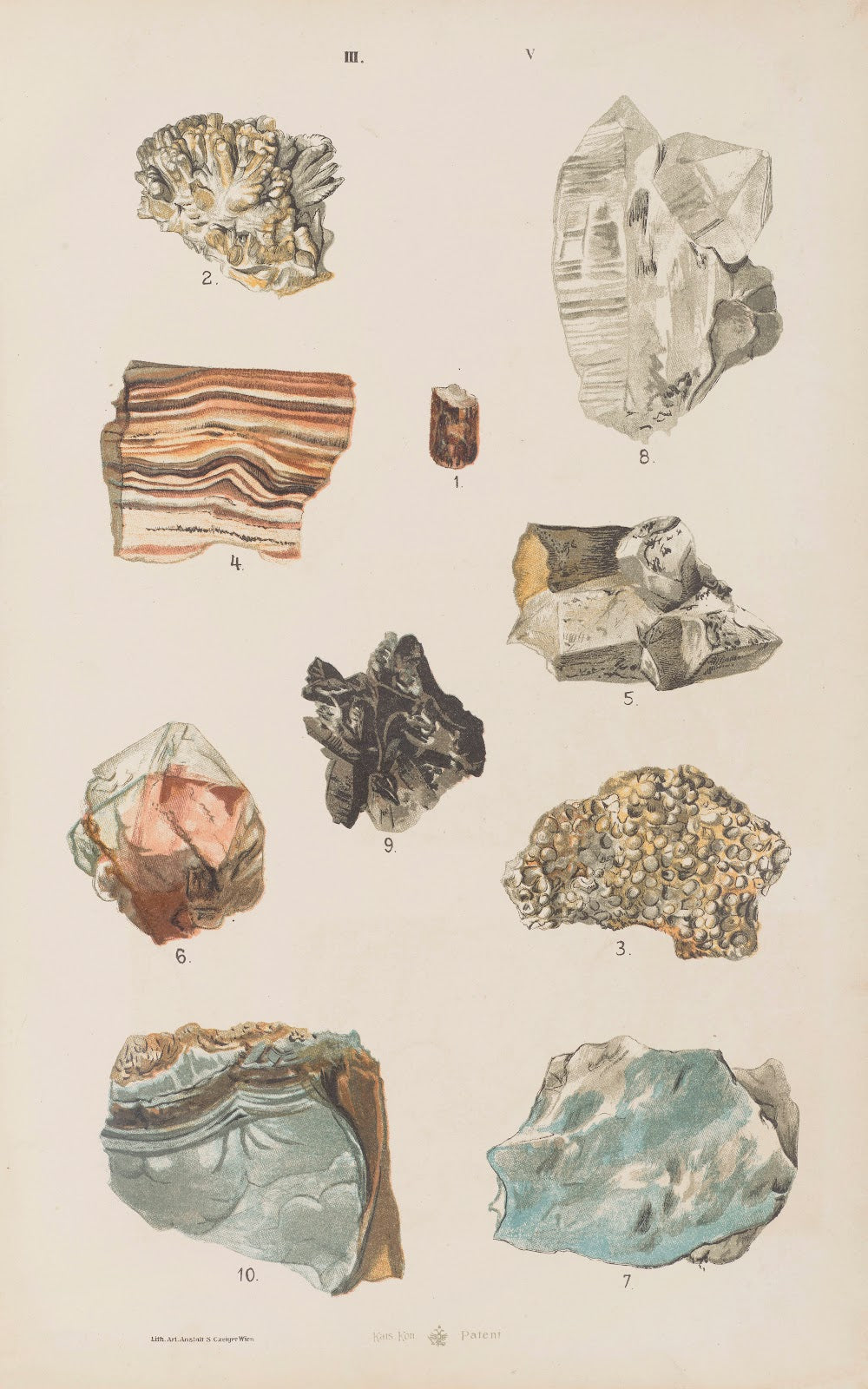 Wielki atlas do zoologii botaniki i mineralogii Pl117 1887