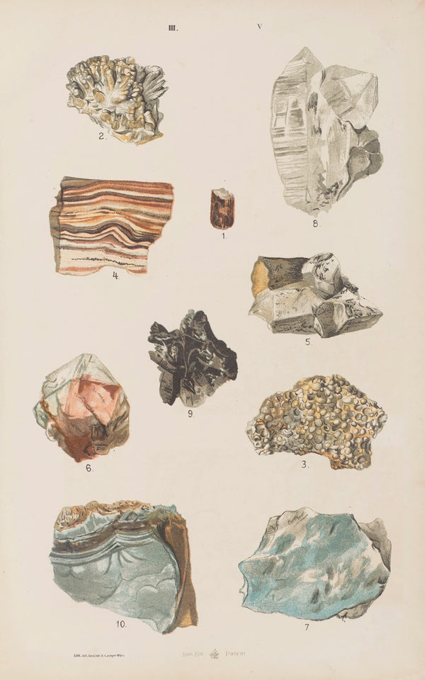 Wielki atlas do zoologii botaniki i mineralogii Pl117 1887