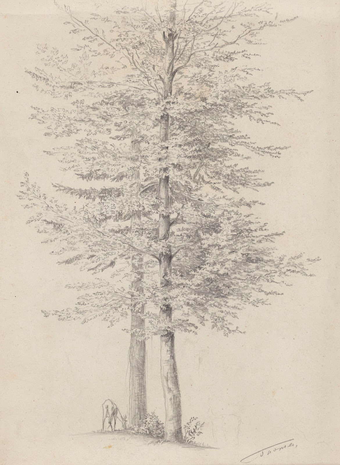 Goat Grazing near Two Trees 1858