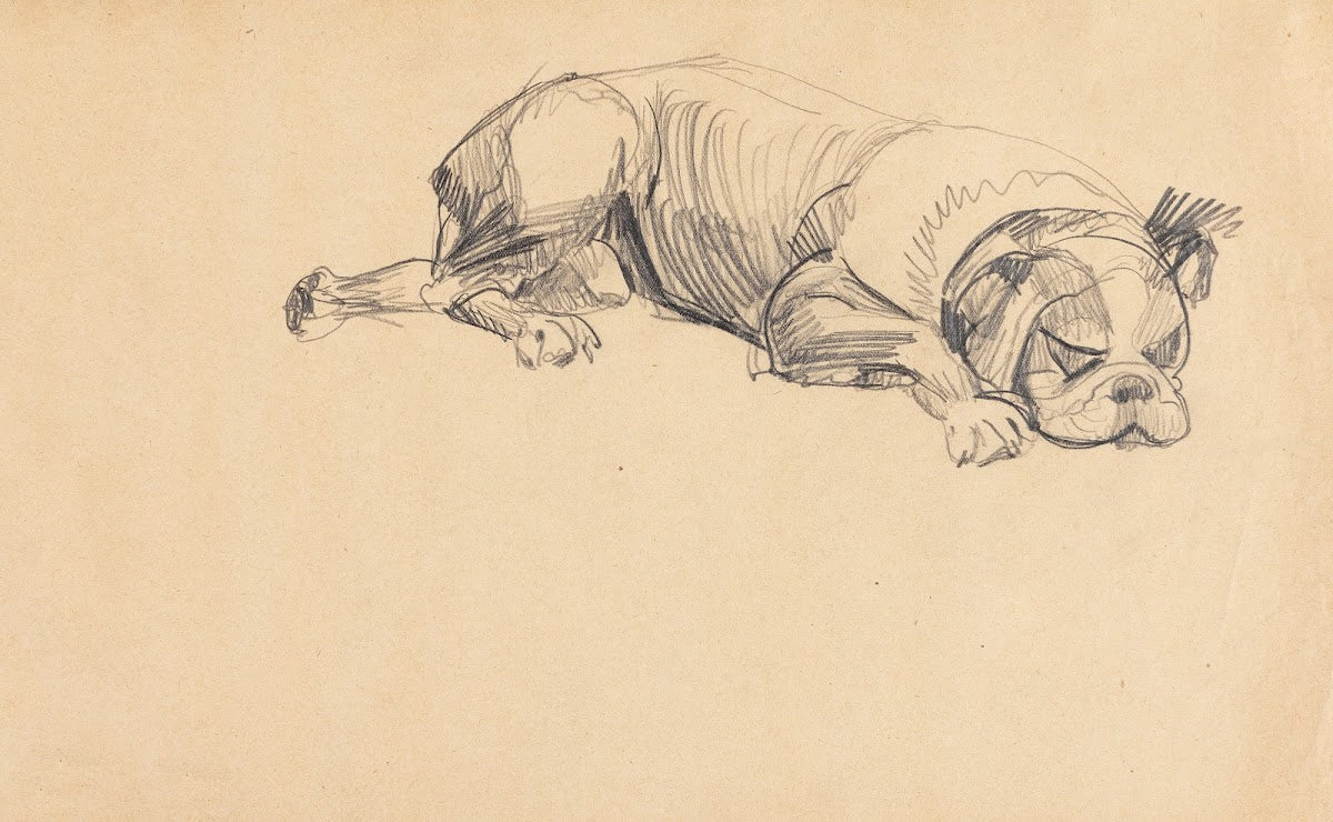 Sleeping dog 20th century