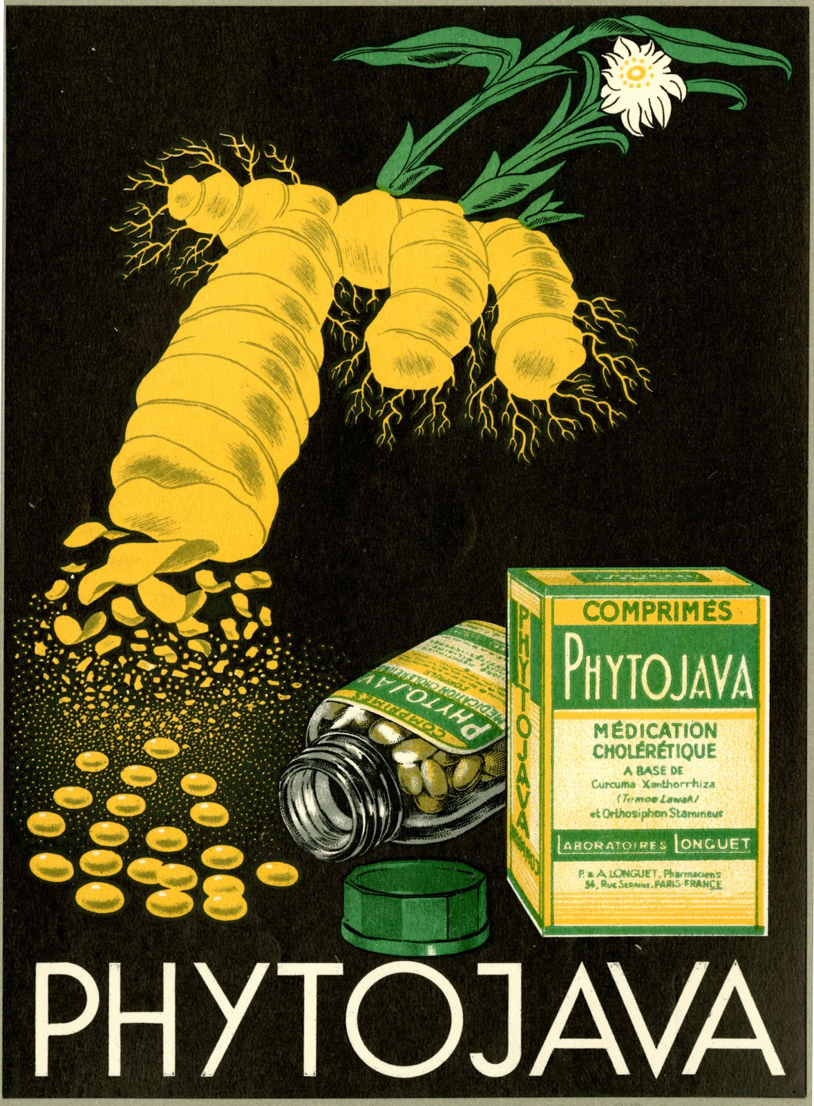 Phytojava 1910 1950