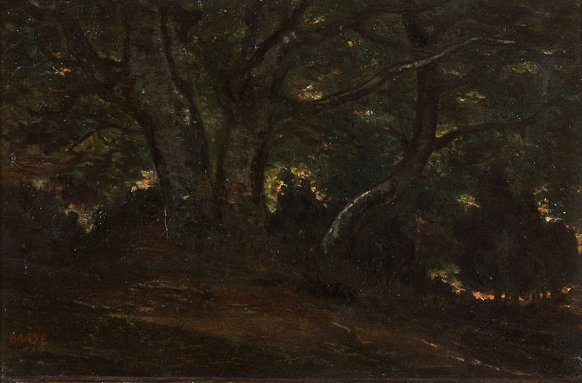 Intérieur de la forêt de Fontainebleau