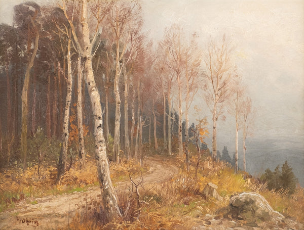 Birch forest