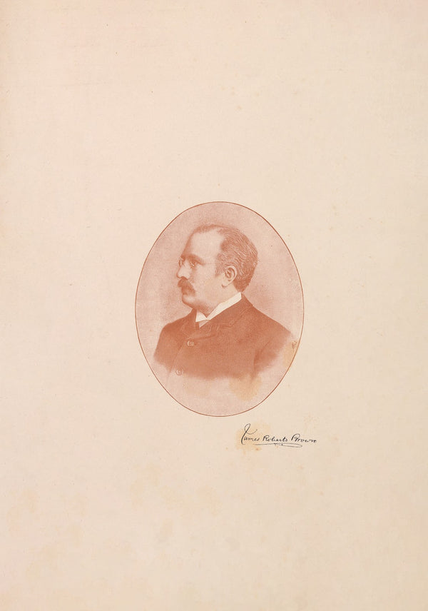 Vignette protrait
