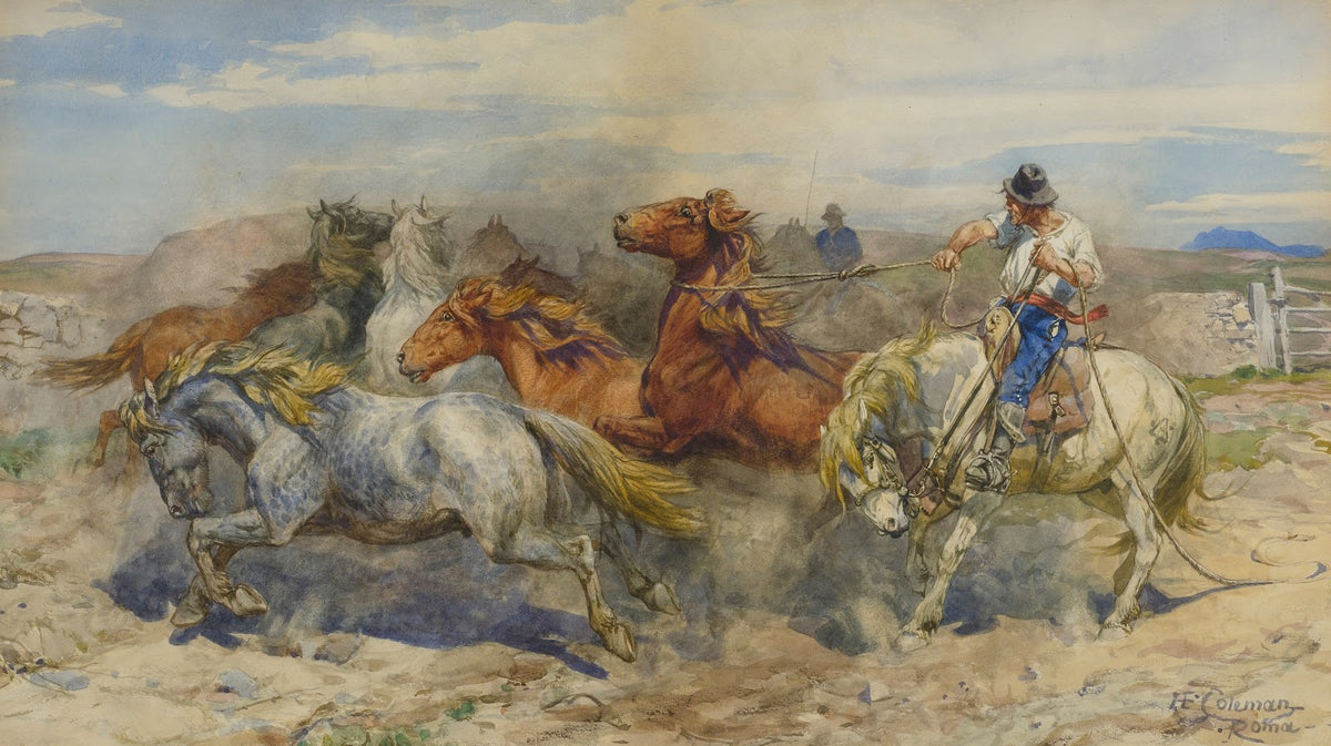 Separating A Stallion 4000x2243 (1)