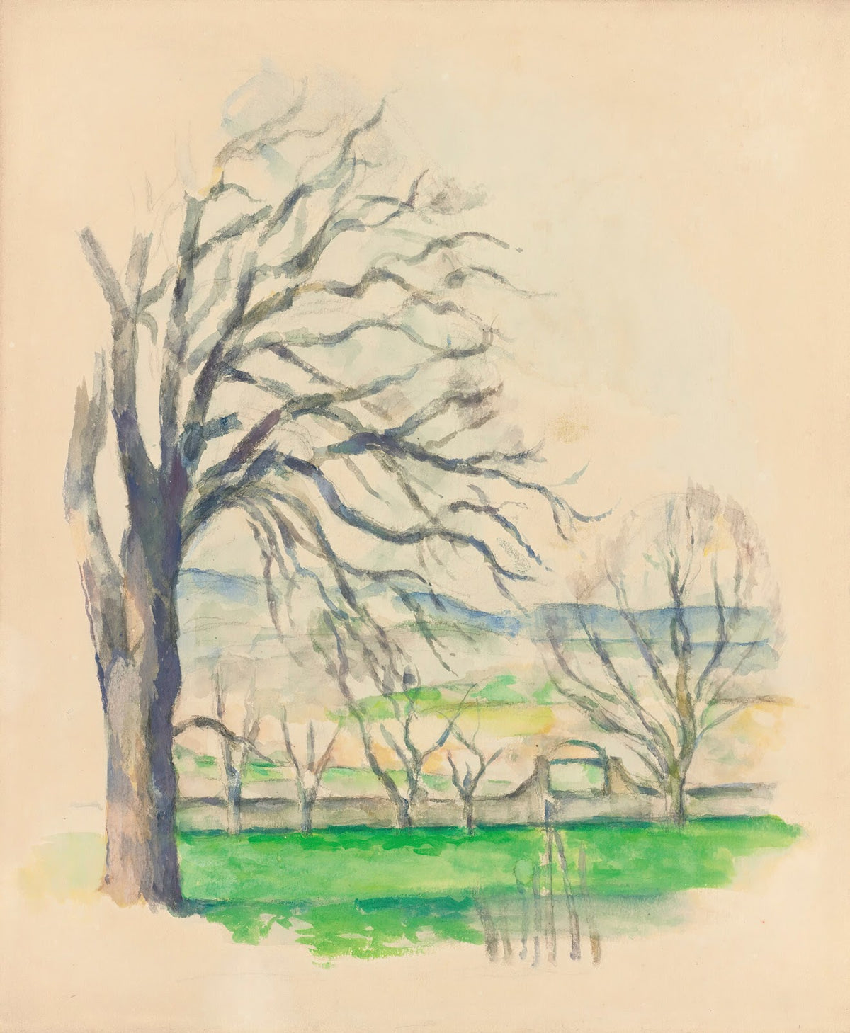 Arbre Dépouillé AuJas De Bouffan