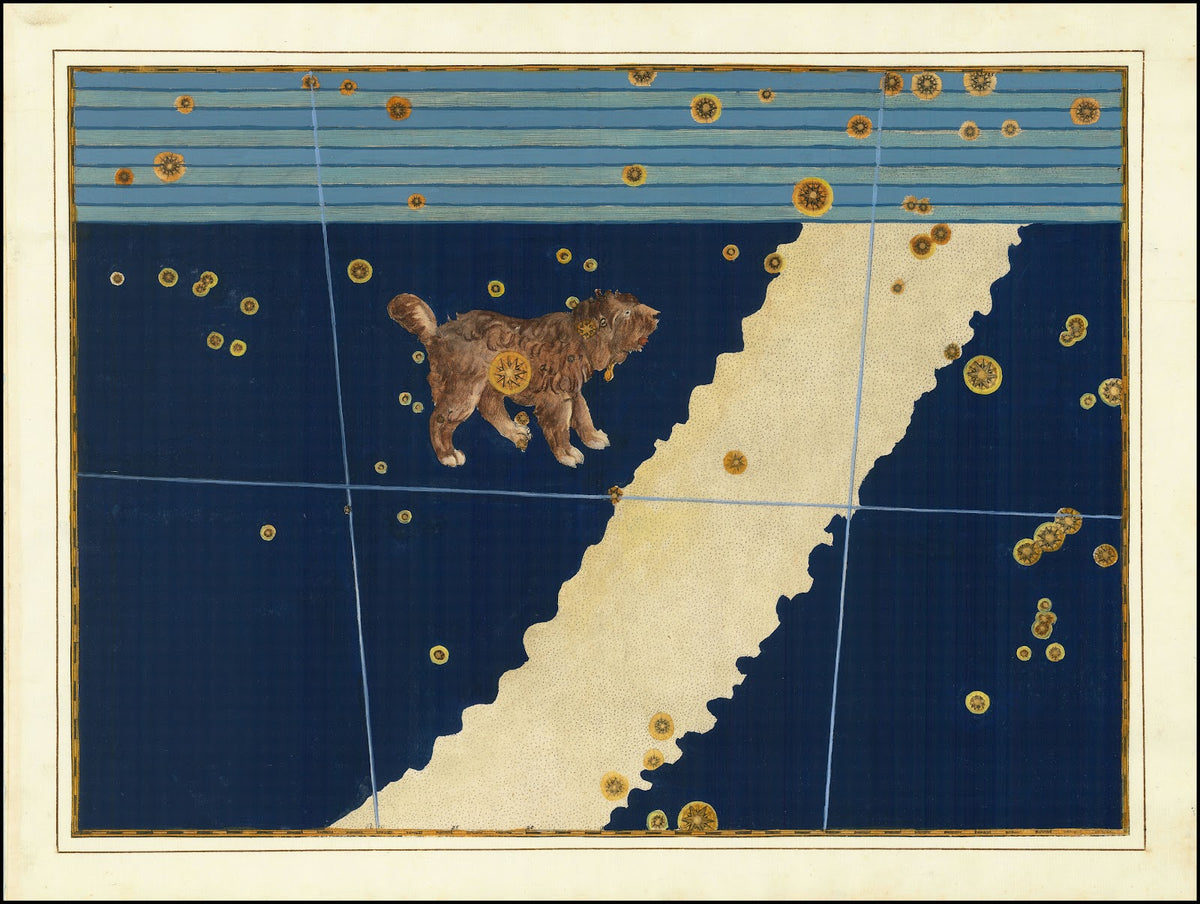 Canis Minor 1624
