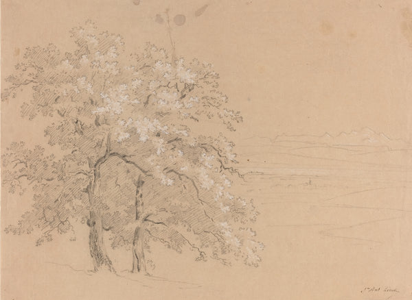 Sunlit Trees Before a Panoramic Landscape 1810s