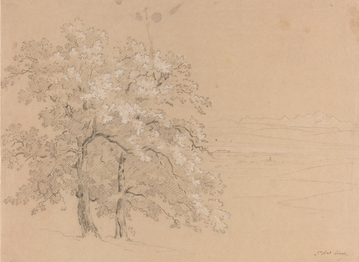 Sunlit Trees Before a Panoramic Landscape 1810s