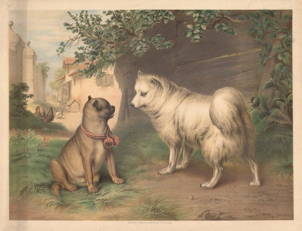 Pug and Spitz 1880