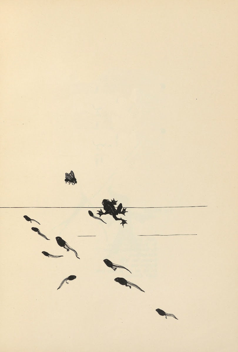 Von Steh Männchen und Gründlingen Pl17 1926