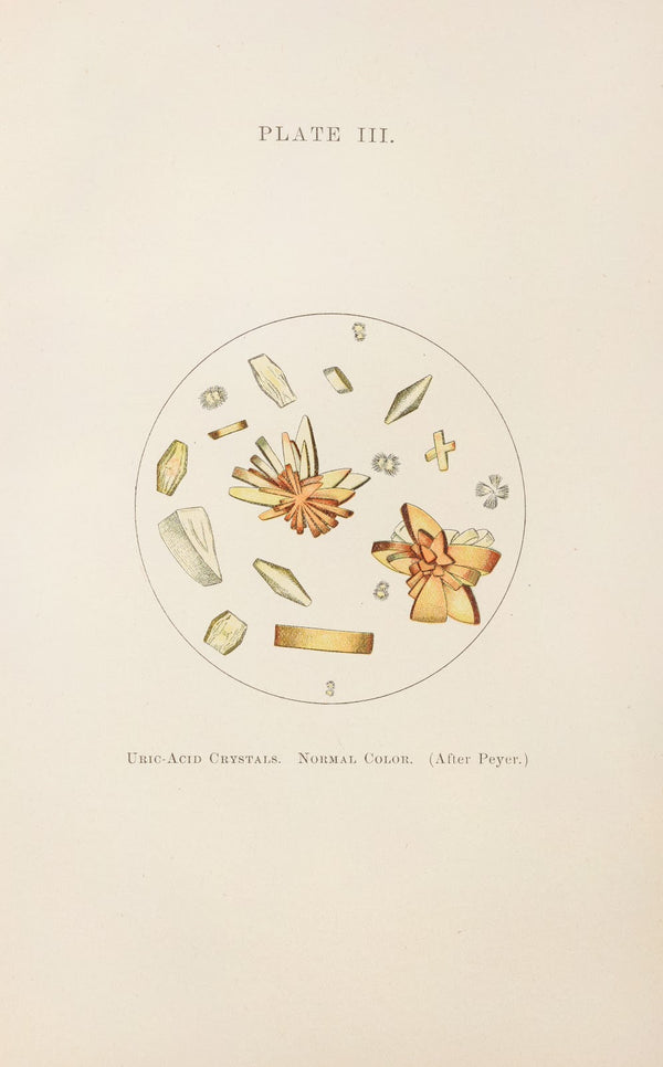 Plate III Uric Acid Crystals Normal Color 1898