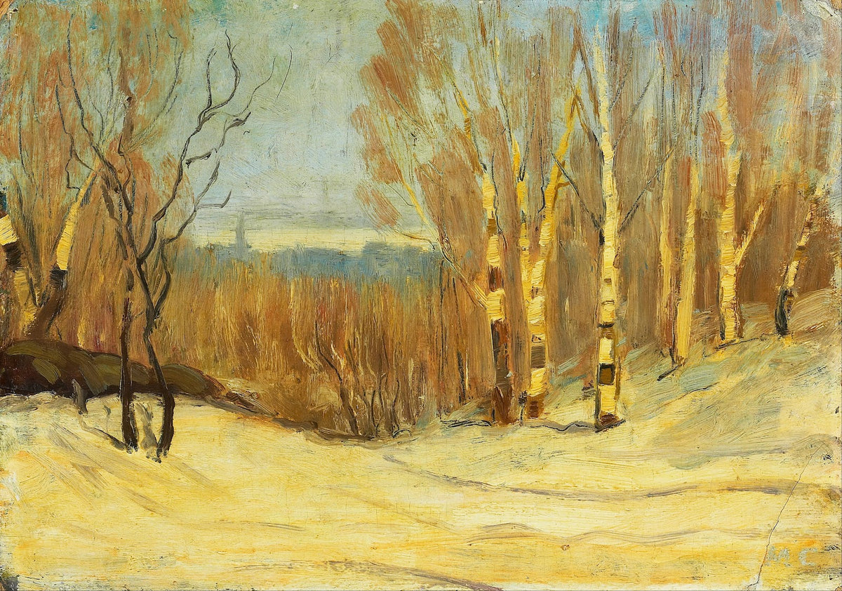 Winter near Montreal 1891 1901
