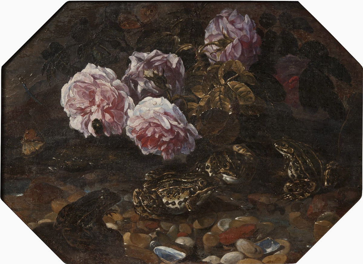 Frogs Wild Roses Shells and Butterflies