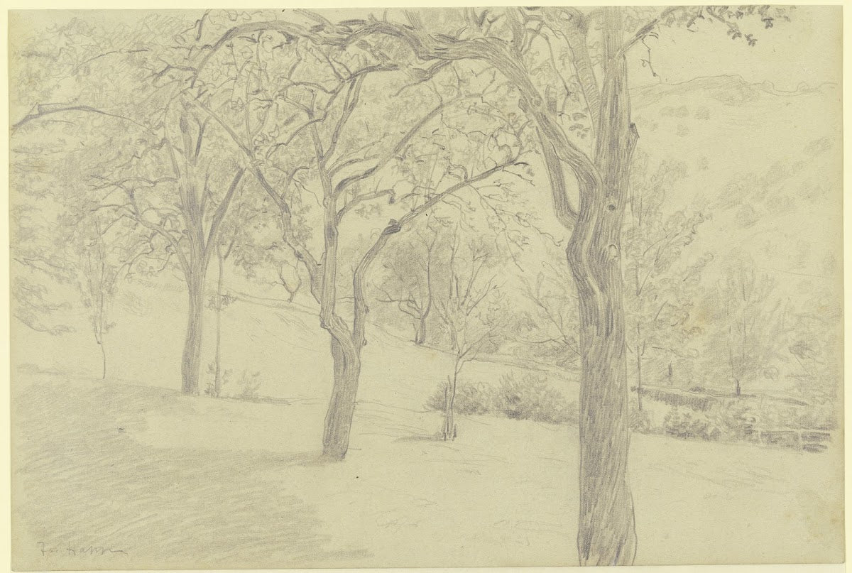 Tree meadow