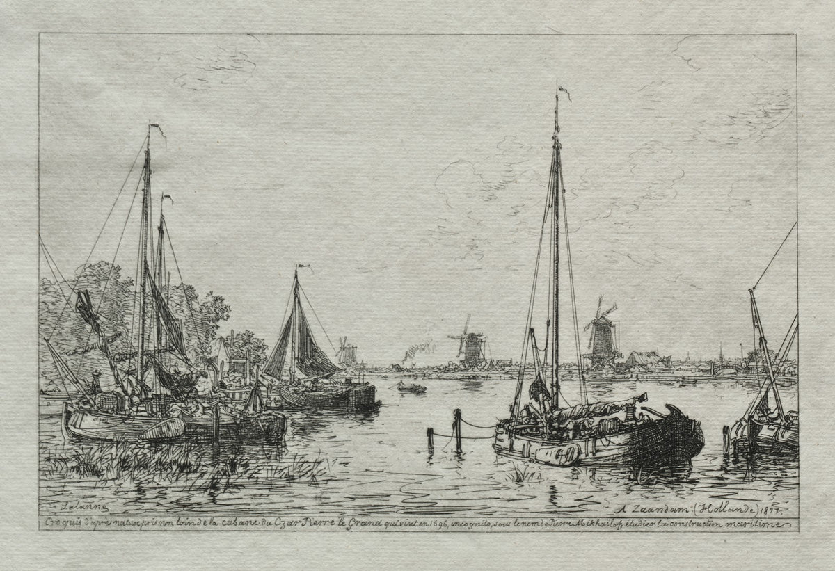 Sketch from Nature 1877