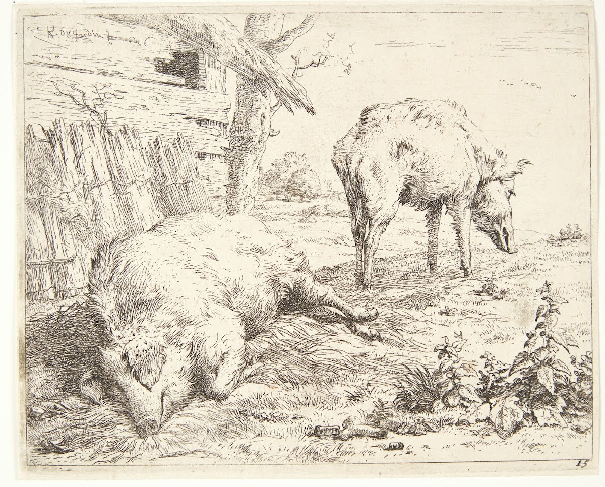 To svin i en svinesti 1656