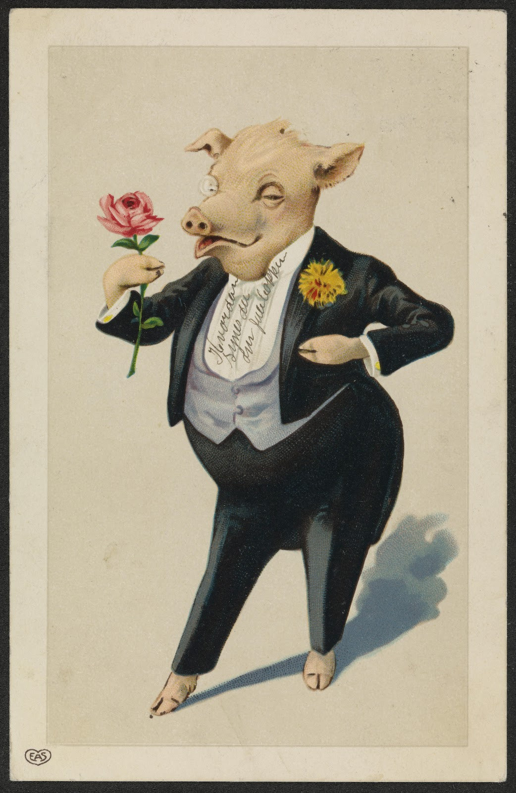 Pig in a tuxedo