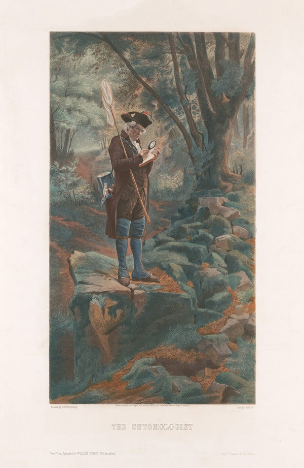 The Entomologist 1876