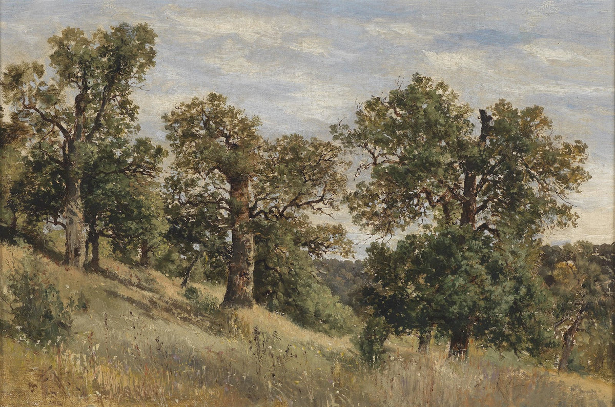 Berghang mit Baum
