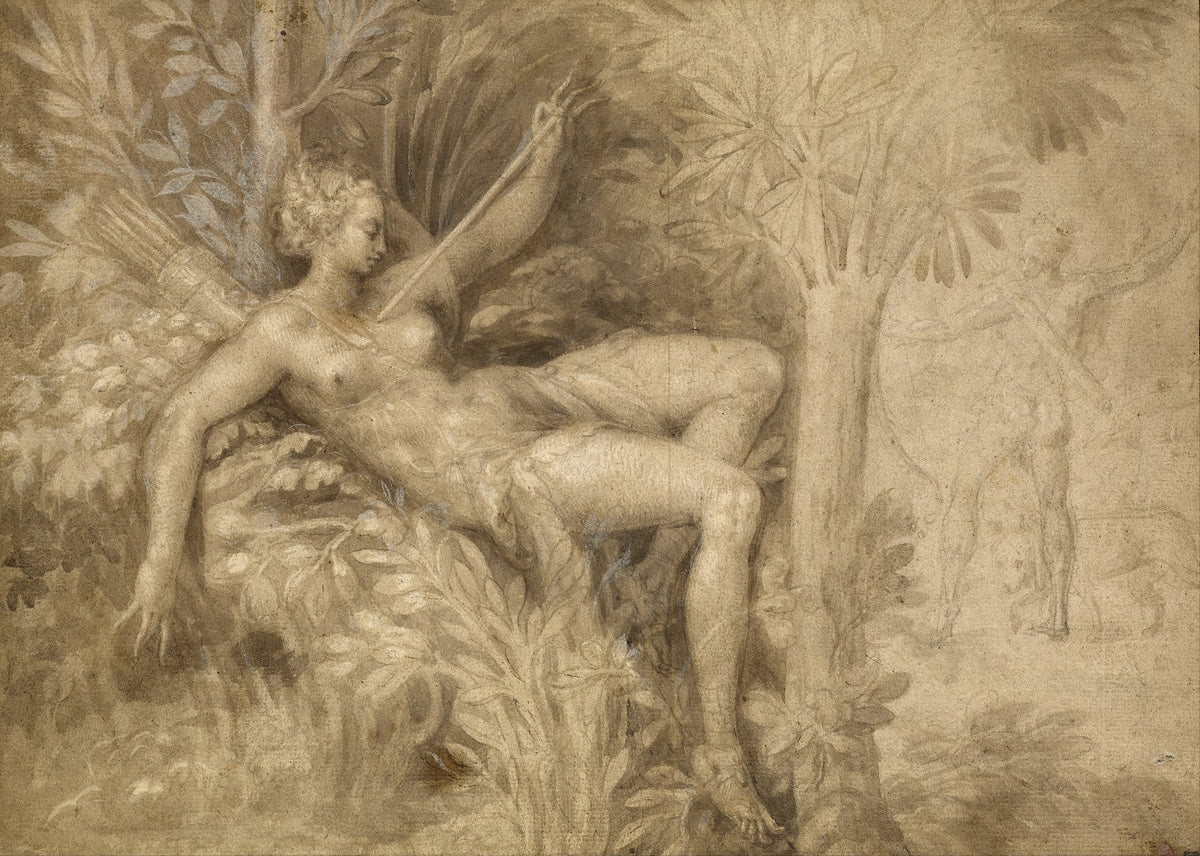 Procris and Cephalus 1550 1599