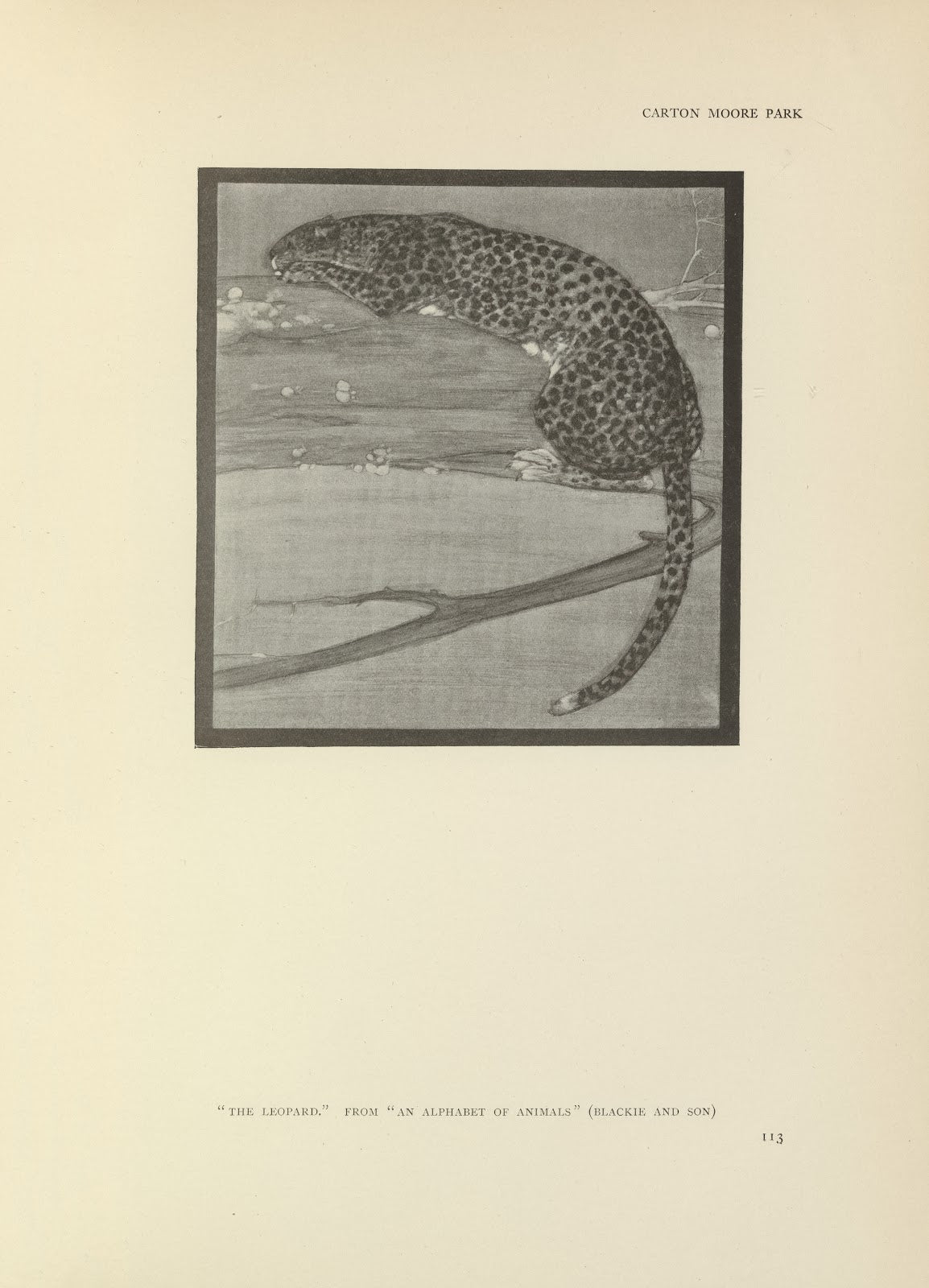 The leopard an alphabet of animals 1914