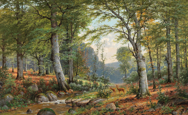 Roe Deer in an Idyllic Wooded Landscape