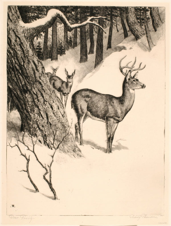 Deer Family ca 1935