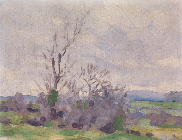 A Landscape