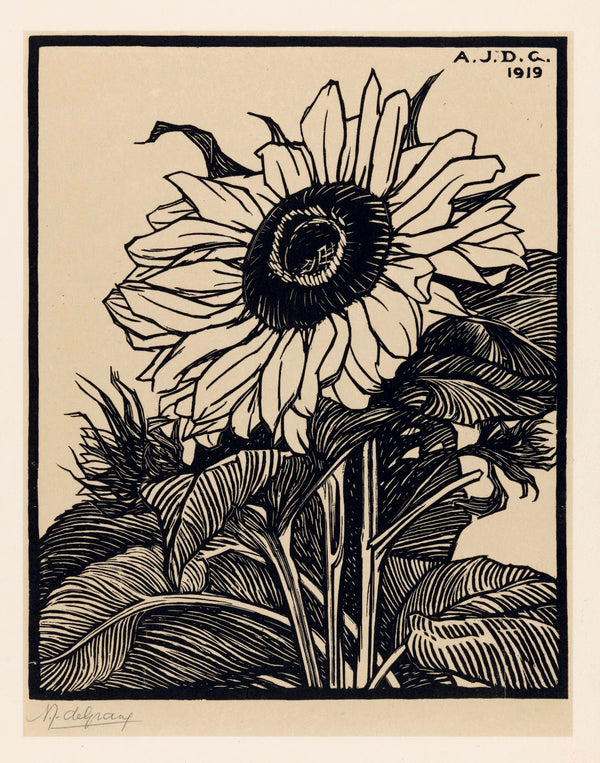Zonnebloem 1919