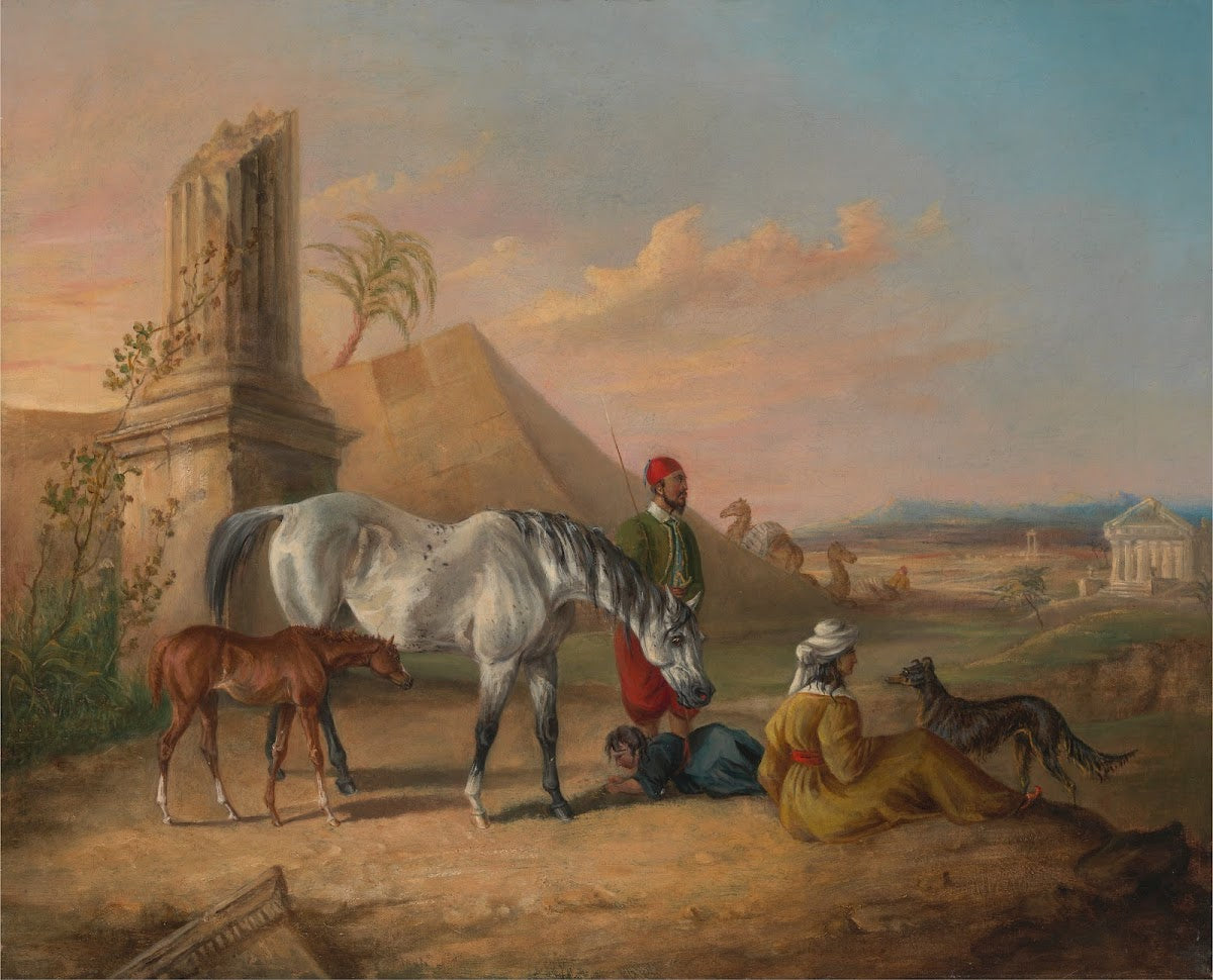 Grey Arabian mare and foal with a family