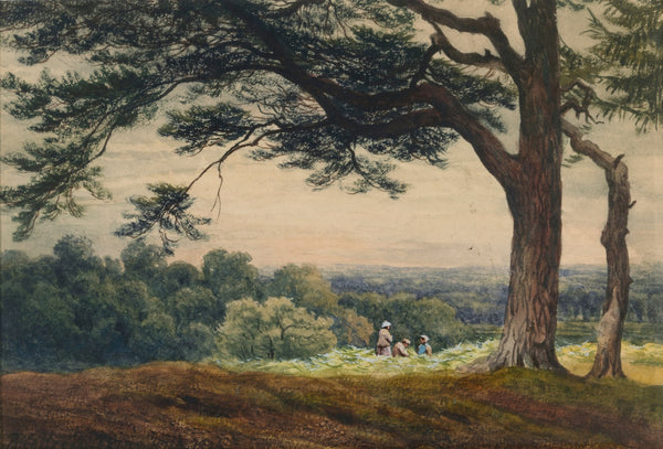 A Hill near Esher Surrey 1876
