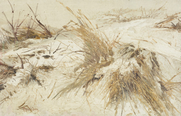 Snow on the sand dunes circa 1889 90