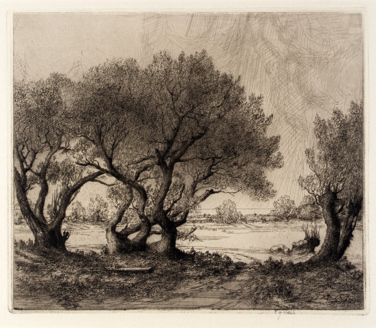 Old Willows ca 1917