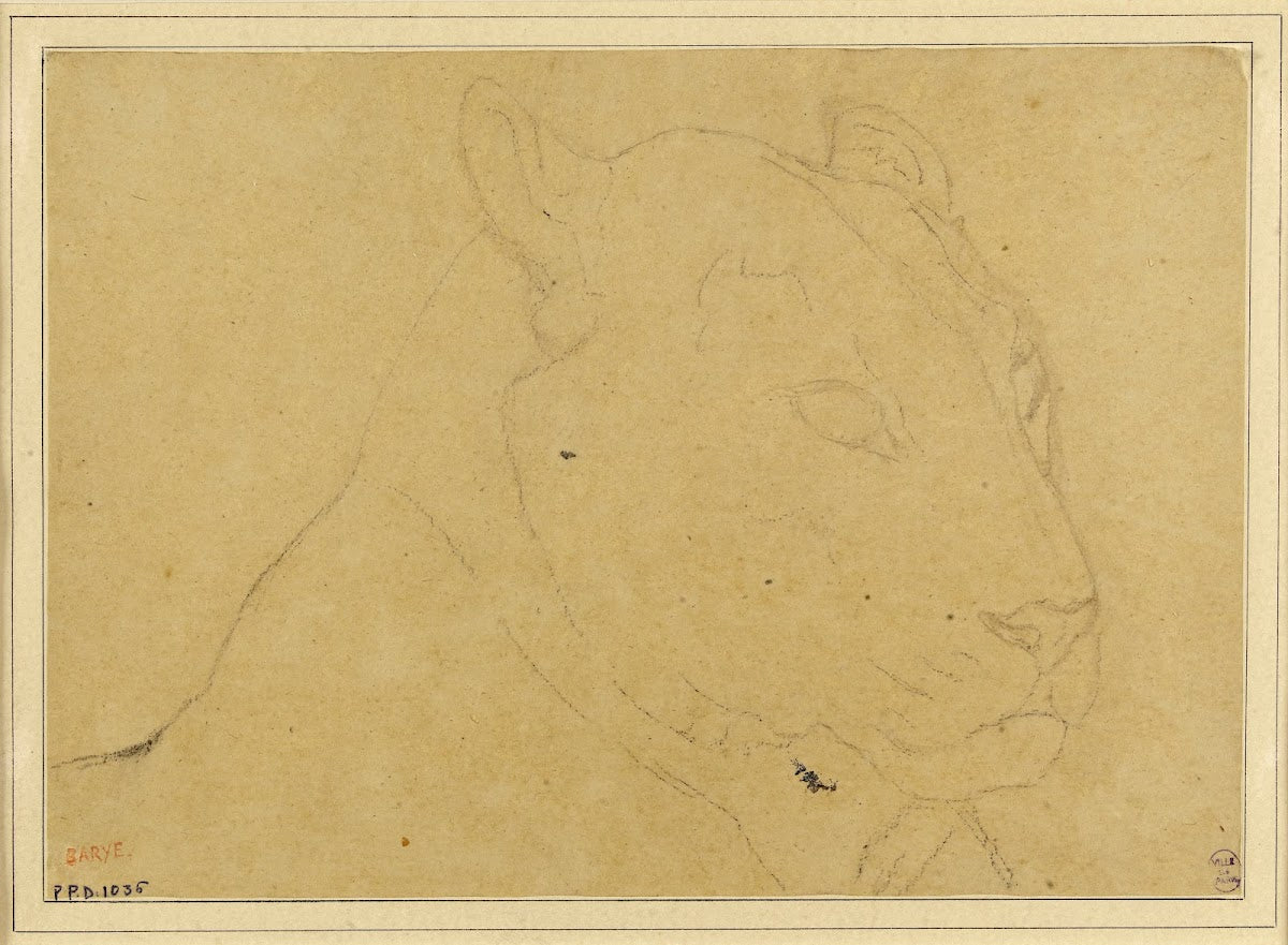 Tête de tigre 19th century