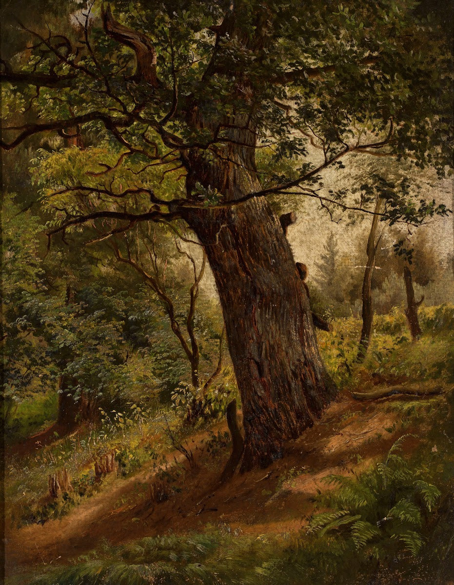 Study of a tree 1861