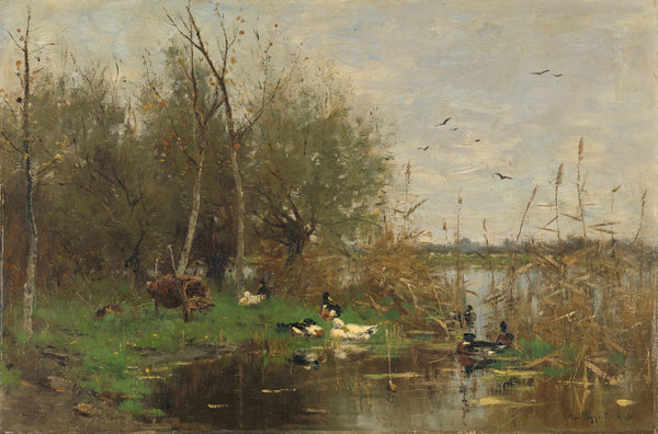 Ducks beside a duck shelter on a ditch 1884