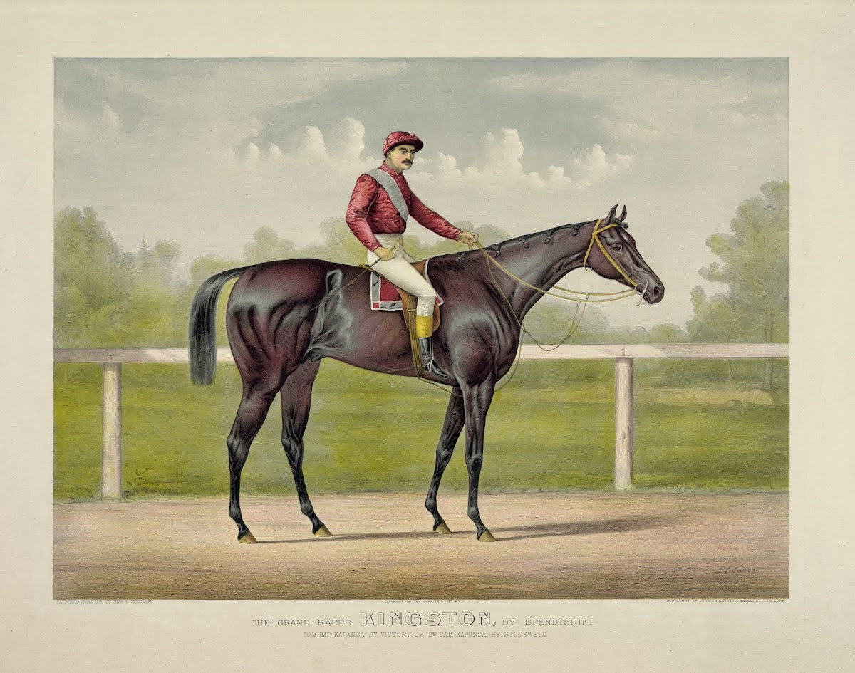 Grand racer Kingston by Spendthrift dam imp Kapanga by Victorious 2nd dam Kapund