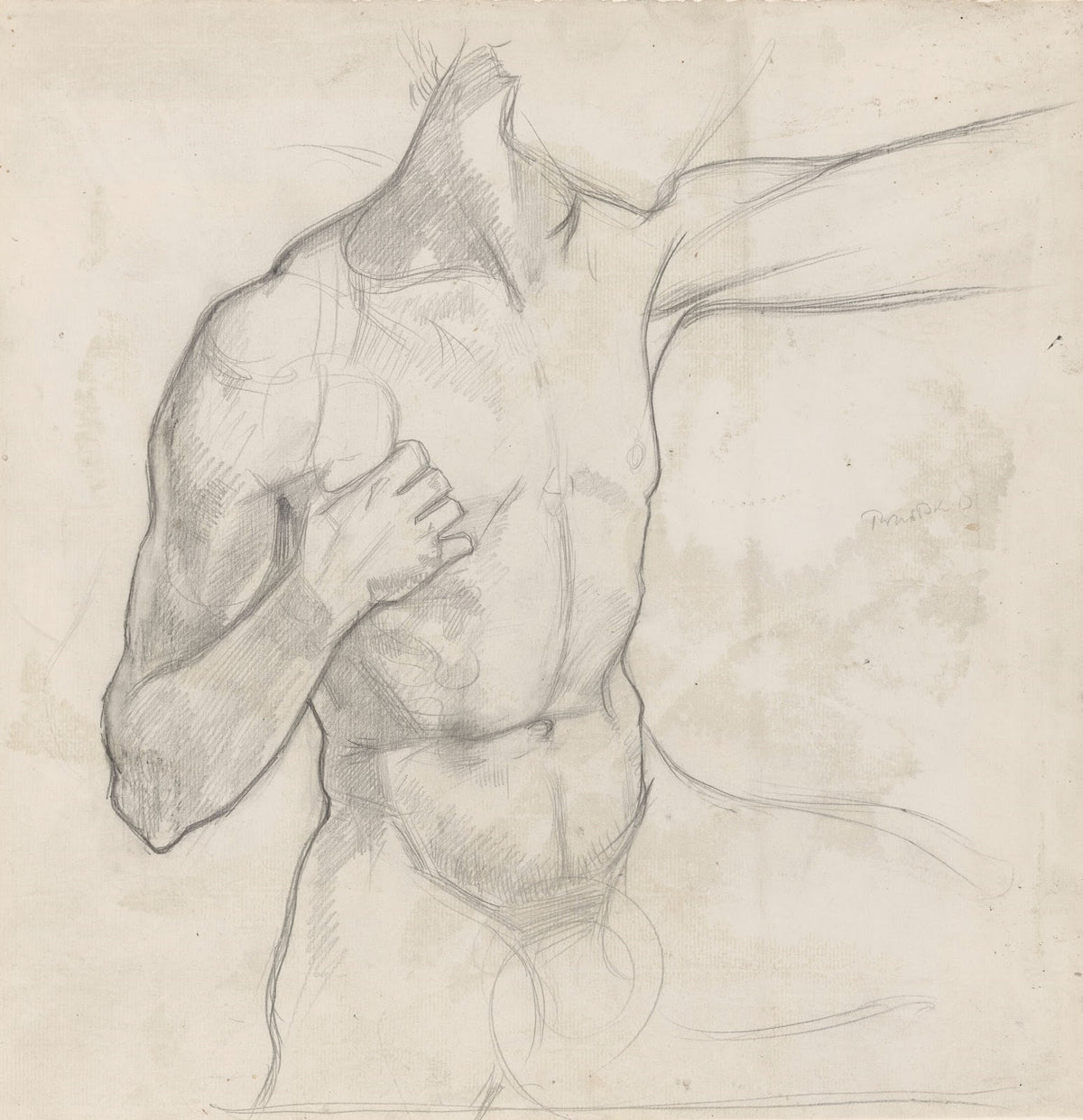 Romp van mannelijk naakt 1878 1938
