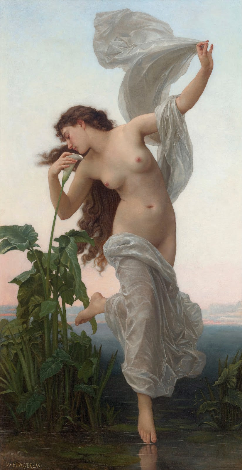 Laurore